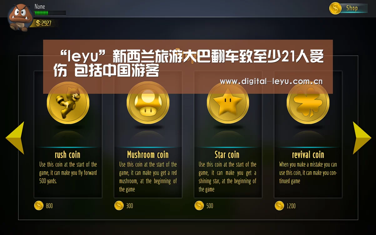 “leyu”新西兰旅游大巴翻车致至少21人受伤 包括中国游客(图1)