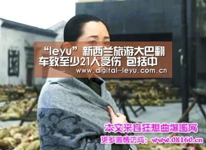 “leyu”新西兰旅游大巴翻车致至少21人受伤 包括中国游客(图2)