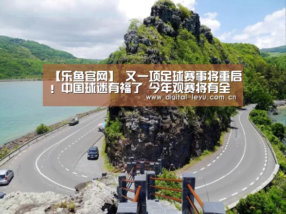 乐鱼官网