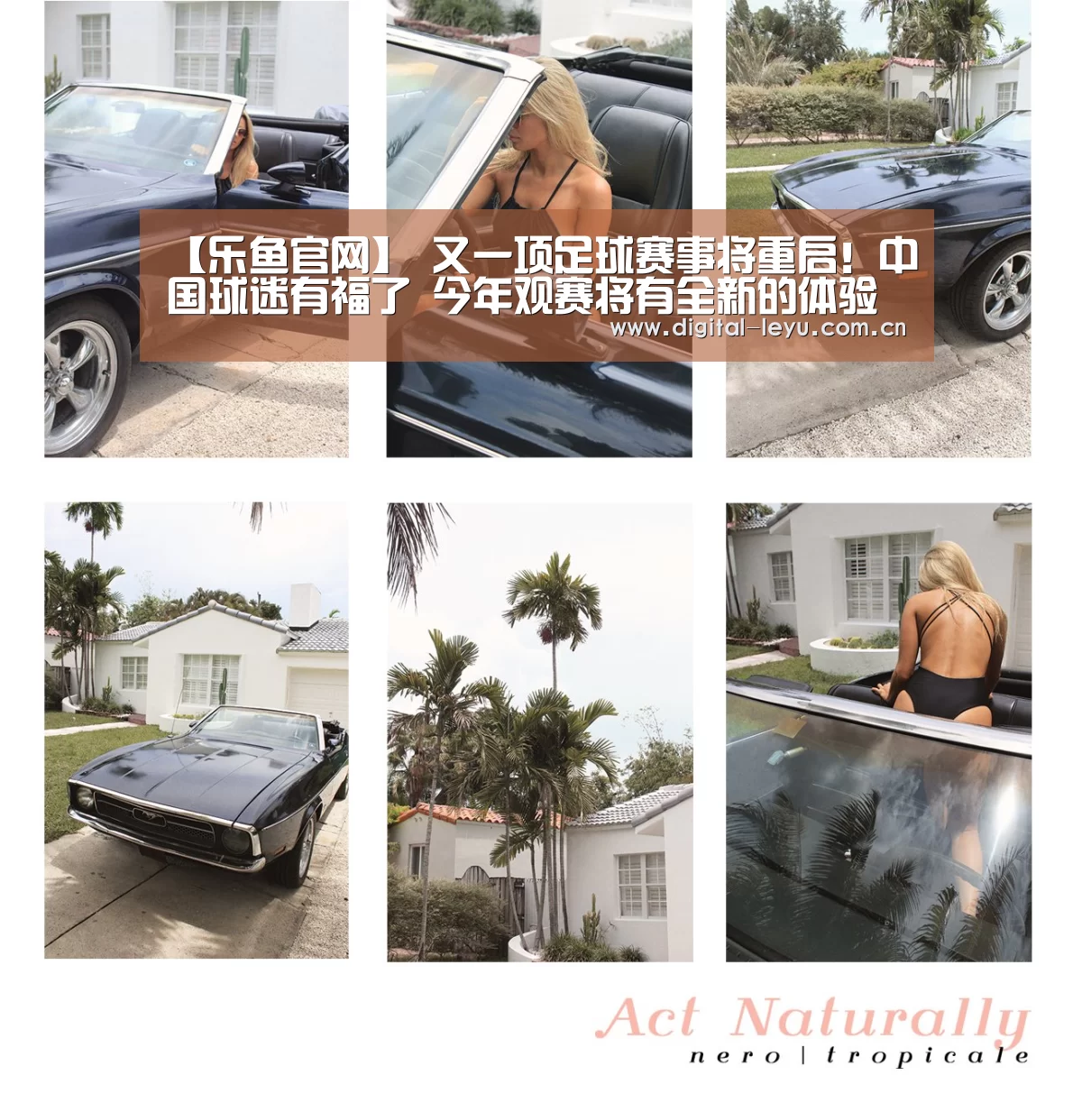 乐鱼app