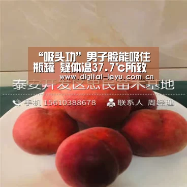 乐鱼app