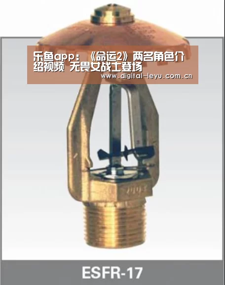 乐鱼体育app下载