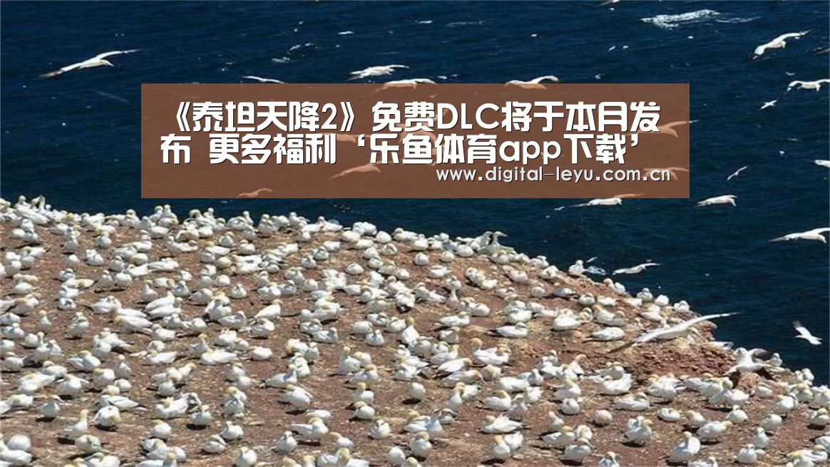 乐鱼app