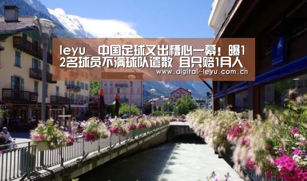 leyu_
中国足球又出糟心一幕！曝12名球员不满球队遣散 且只赔1月人为(图1)