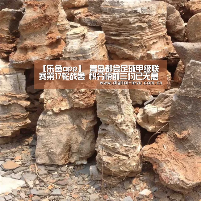 【乐鱼app】
青岛都会足球甲级联赛第17轮战罢 积分榜前三均已无悬念(图2)