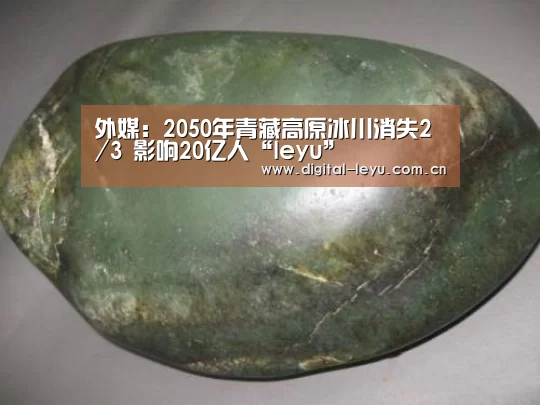 乐鱼体育app下载