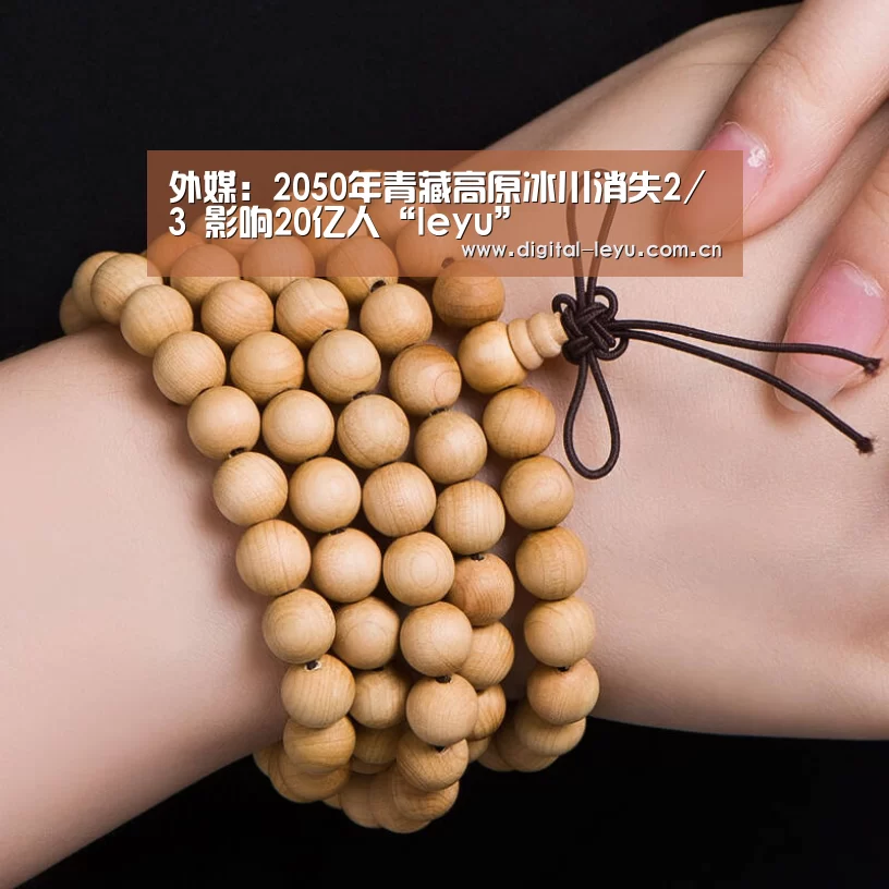 乐鱼体育app下载