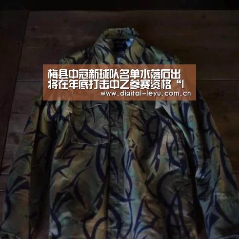乐鱼官网
