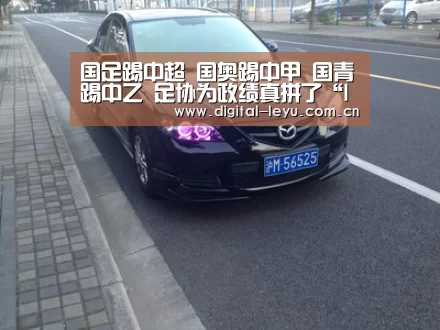 
国足踢中超 国奥踢中甲 国青踢中乙 足协为政绩真拼了“leyu”(图2)